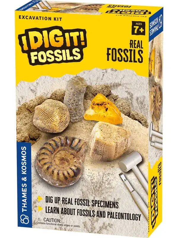 Thames & Kosmos I Dig! Fossils