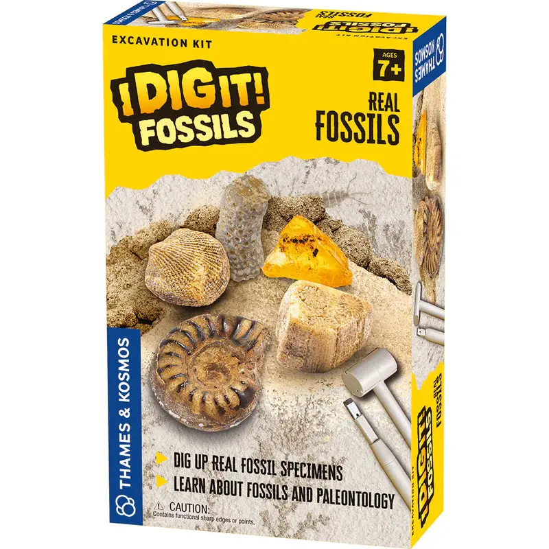 I Dig! Fossils