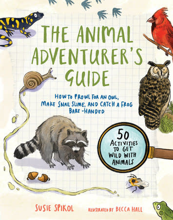 THE  ANIMAL  ADVENTURE 'S GUIDE