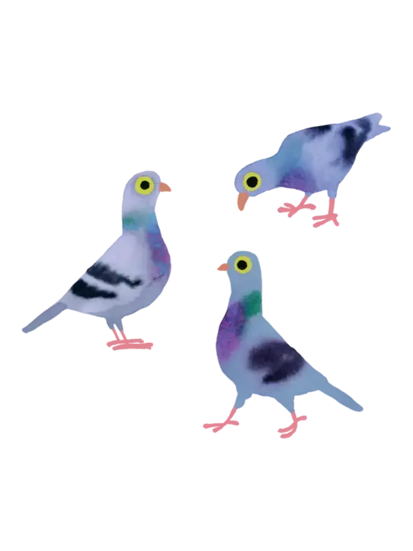 Tattly Pigeon Pals Tattoo Pair