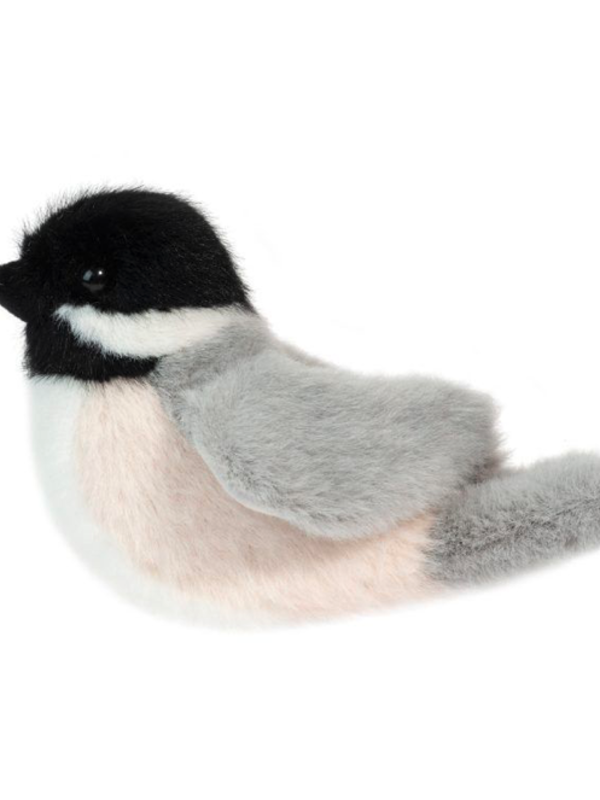 Douglas Chipper Chickadee Bird