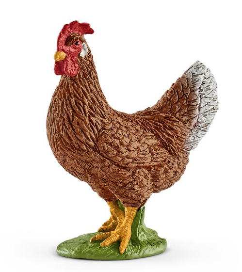 Hen