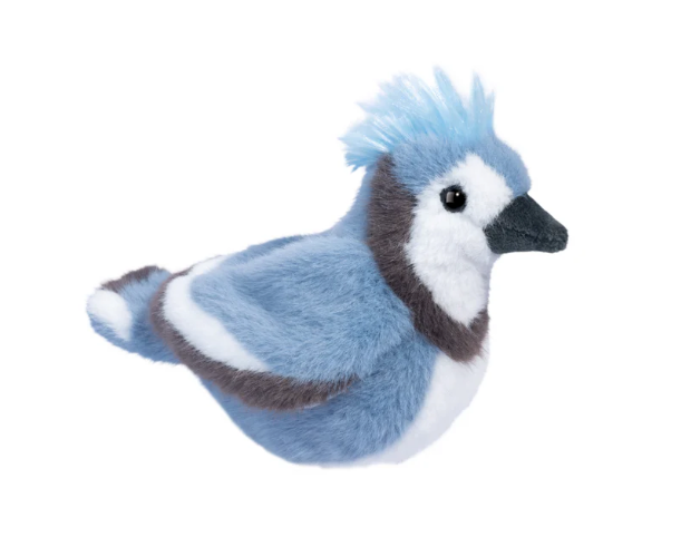 Denim Bluejay