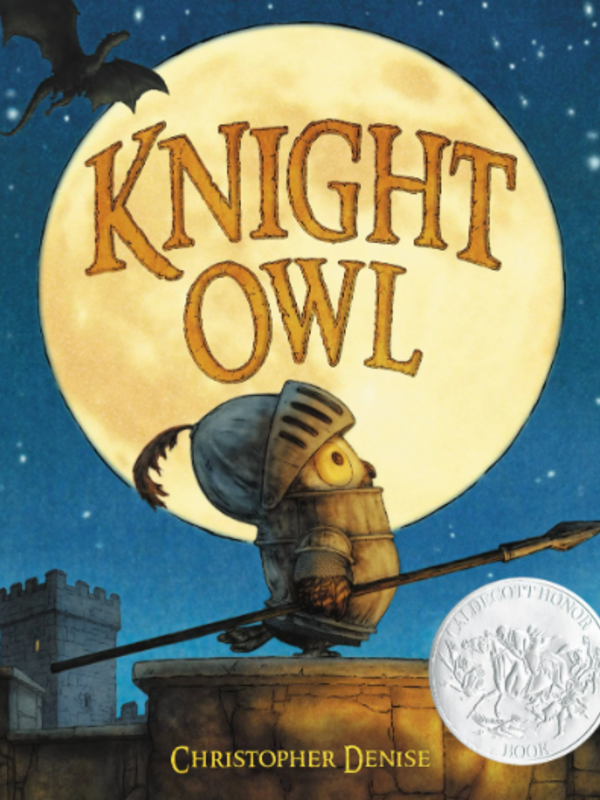 Little Brown & Co. Knight Owl