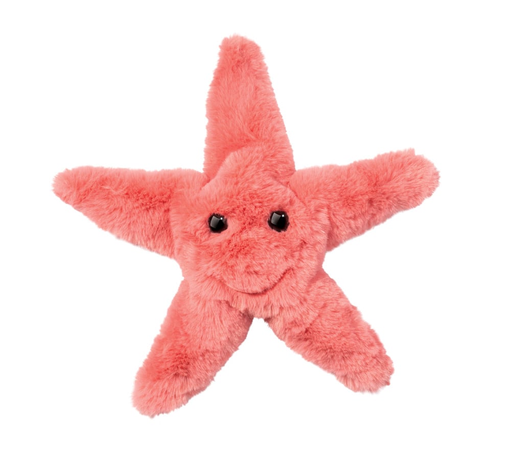 Coral Starfish