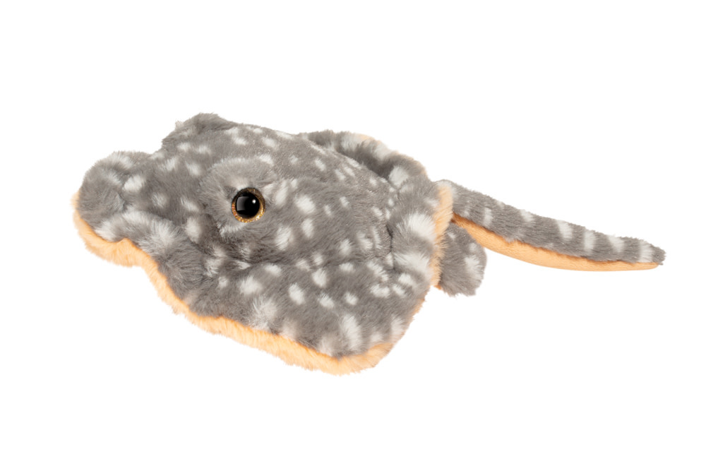 Stella Stingray