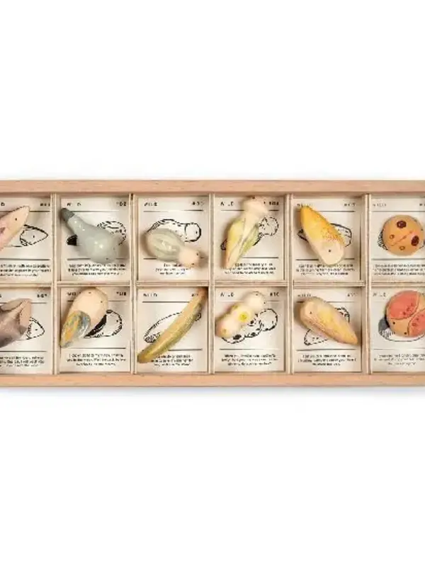 Grapat Grapat Wood Wild 12pc with Tray