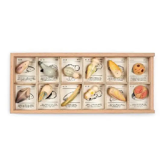 Grapat Wood Wild 12pc with Tray