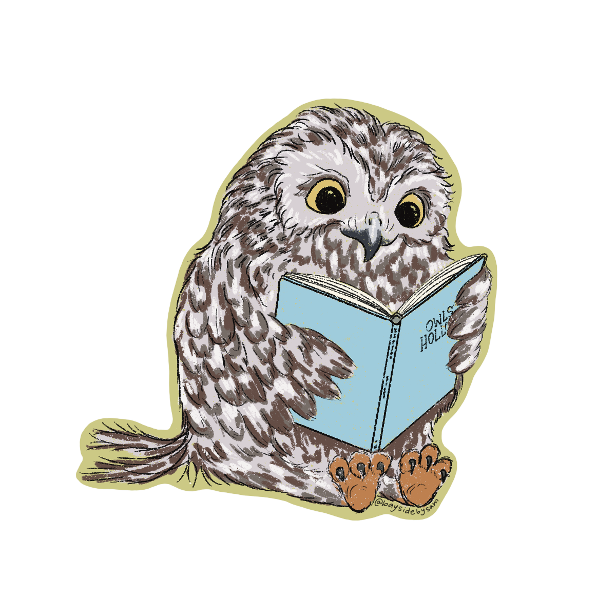 Owls Hollow Owly Day!