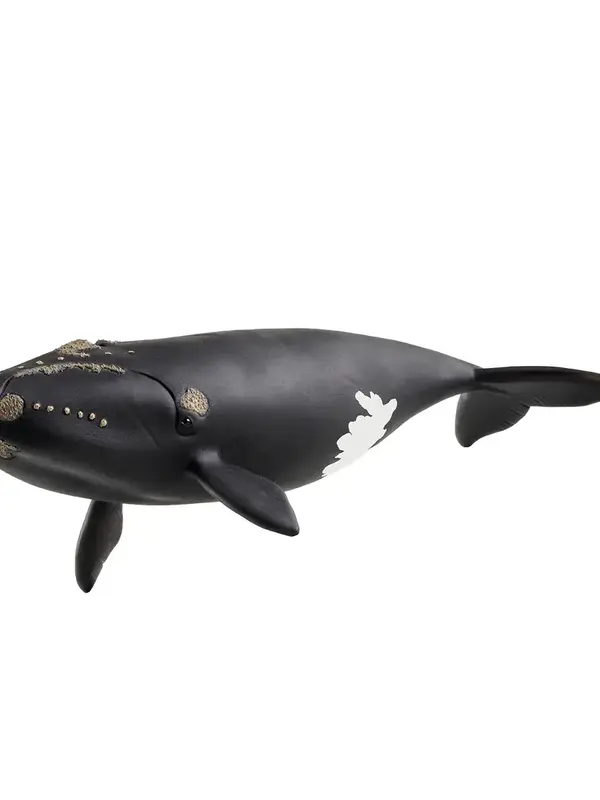 Schleich® North Atlantic Right Whale