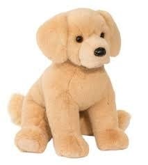 Denali Golden Retriever