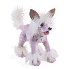 Chinese Crusted Dog Puppet