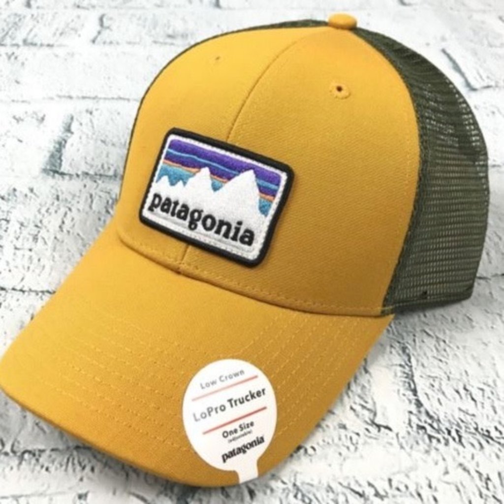 patagonia patch hat