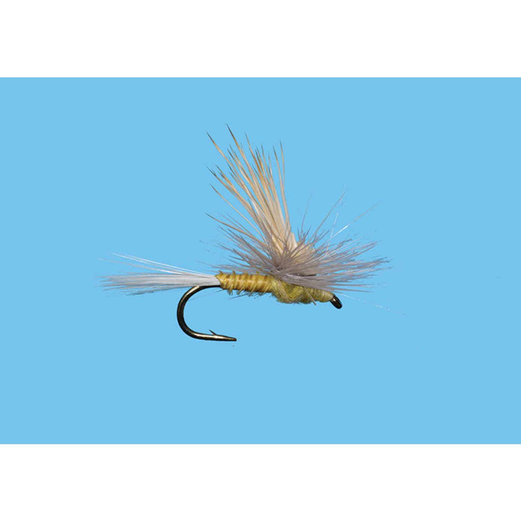pmd discount code pmd discount code