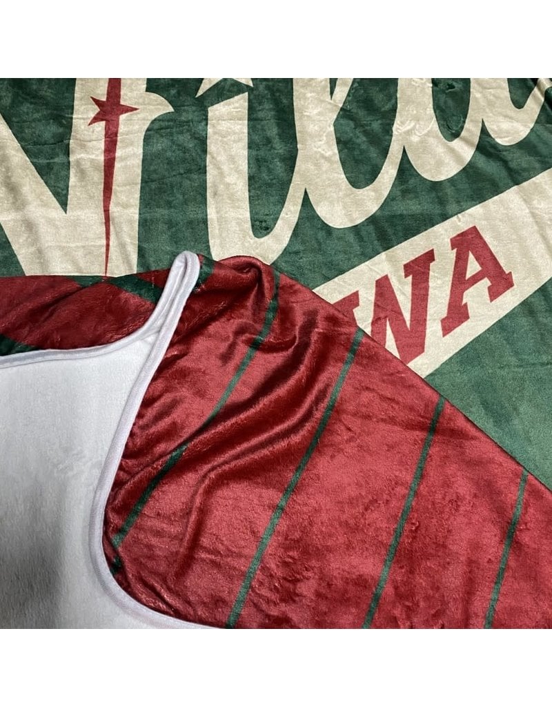 Iowa Wild Plush Logo Blanket