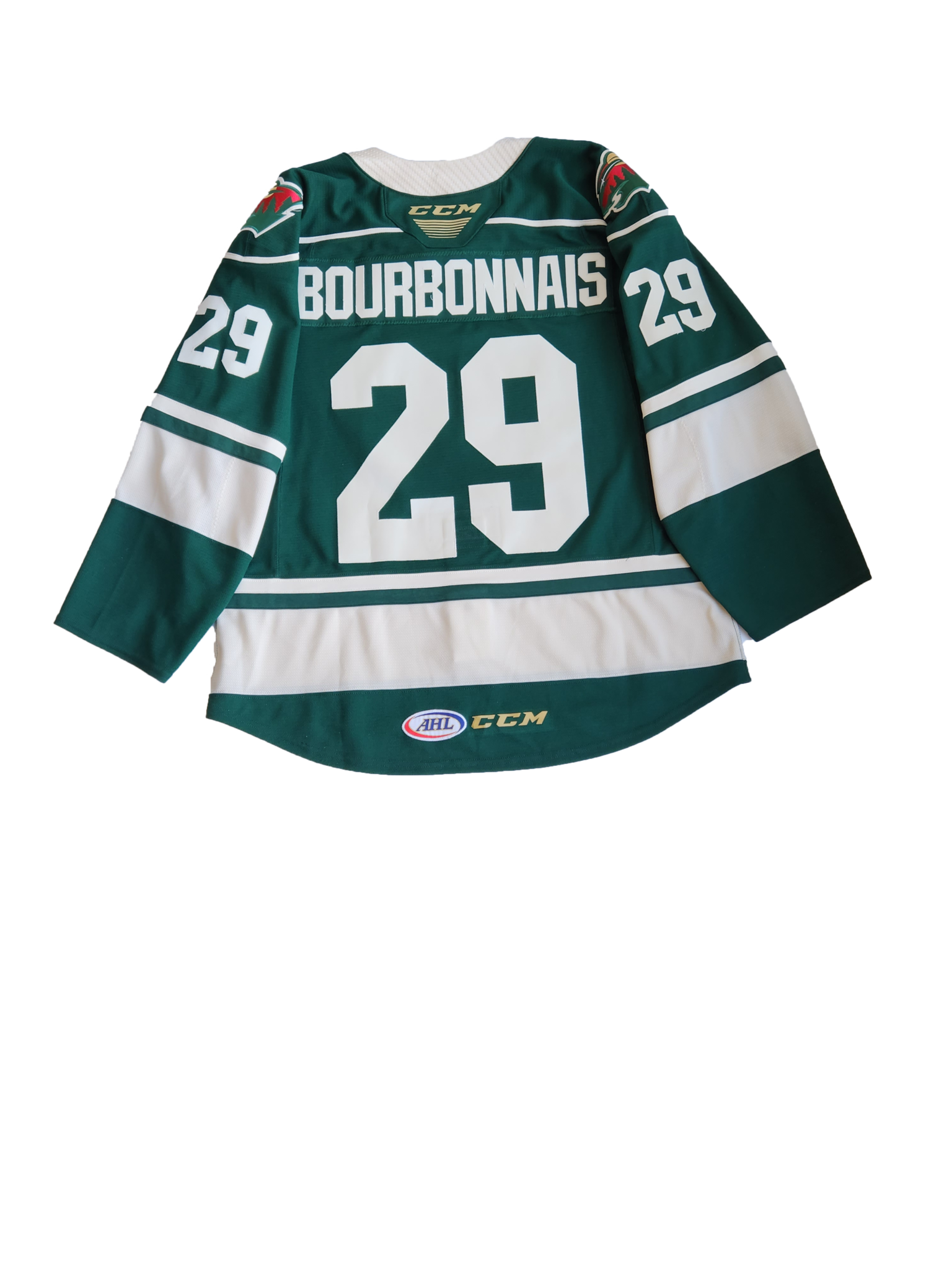 Authentic Lettered Green Jersey Bourbonnais #29 - Iowa Wild