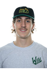 Official League Official League Iowa Grown DSM Bridge Dad Hat