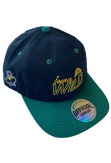 Official League Official League Iowa Grown DSM Bridge Dad Hat