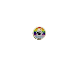 1" Pride Circle Logo Lapel  Pin