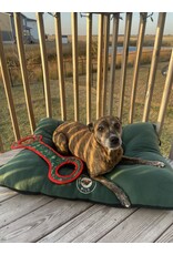 All Star Dogs Iowa Wild Tug Toy