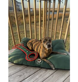 All Star Dogs Iowa Wild Tug Toy