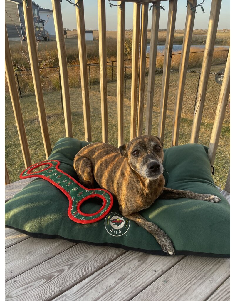 All Star Dogs Iowa Wild Tug Toy