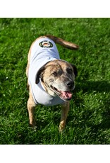 All Star Dogs Heather Grey Polar Pet Hood