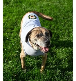 All Star Dogs Heather Grey Polar Pet Hood