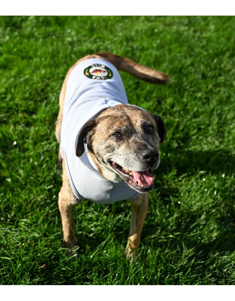 All Star Dogs Heather Grey Polar Pet Hood