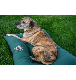 All Star Dogs Iowa Wild Pet Bed - MEDIUM