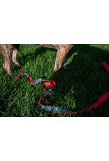 All Star Dogs Large Leash - Secondary Logo Red Accent