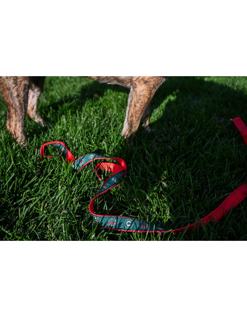 All Star Dogs Large Leash - Secondary Logo Red Accent
