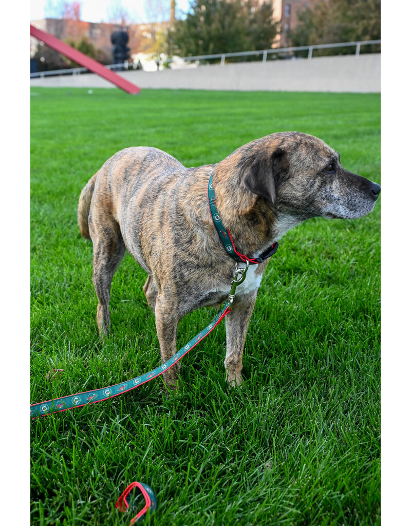 All Star Dogs Large Leash - Secondary Logo Red Accent