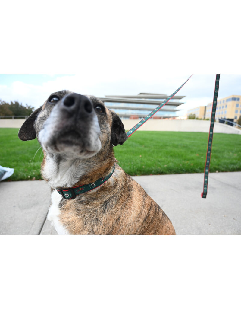 All Star Dogs Large Dog Collar - Secondary Logo Red Accent