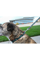 All Star Dogs Large Dog Collar - Secondary Logo Red Accent