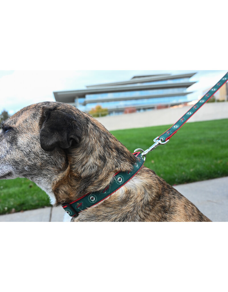 All Star Dogs Large Dog Collar - Secondary Logo Red Accent