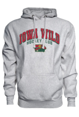 J. America Ash State Logo Hoodie