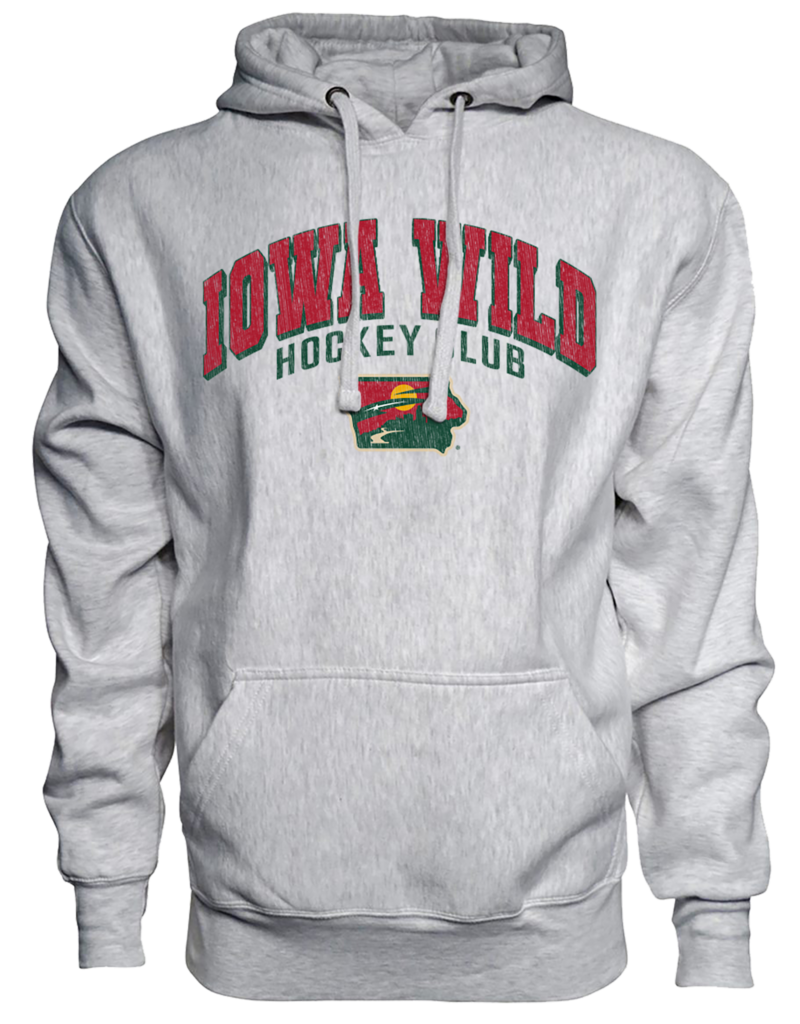 J. America Ash State Logo Hoodie