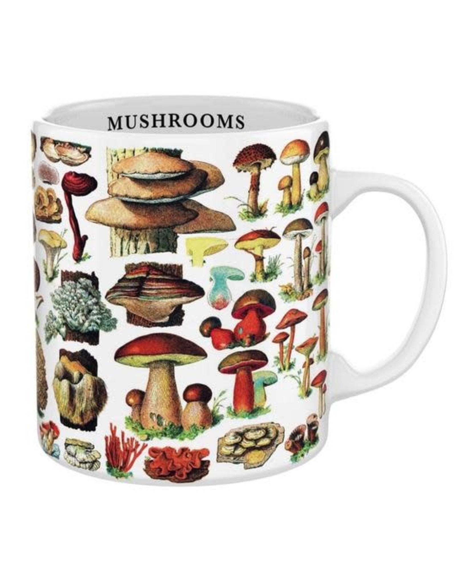 BGS NLE - Mug / Mushrooms
