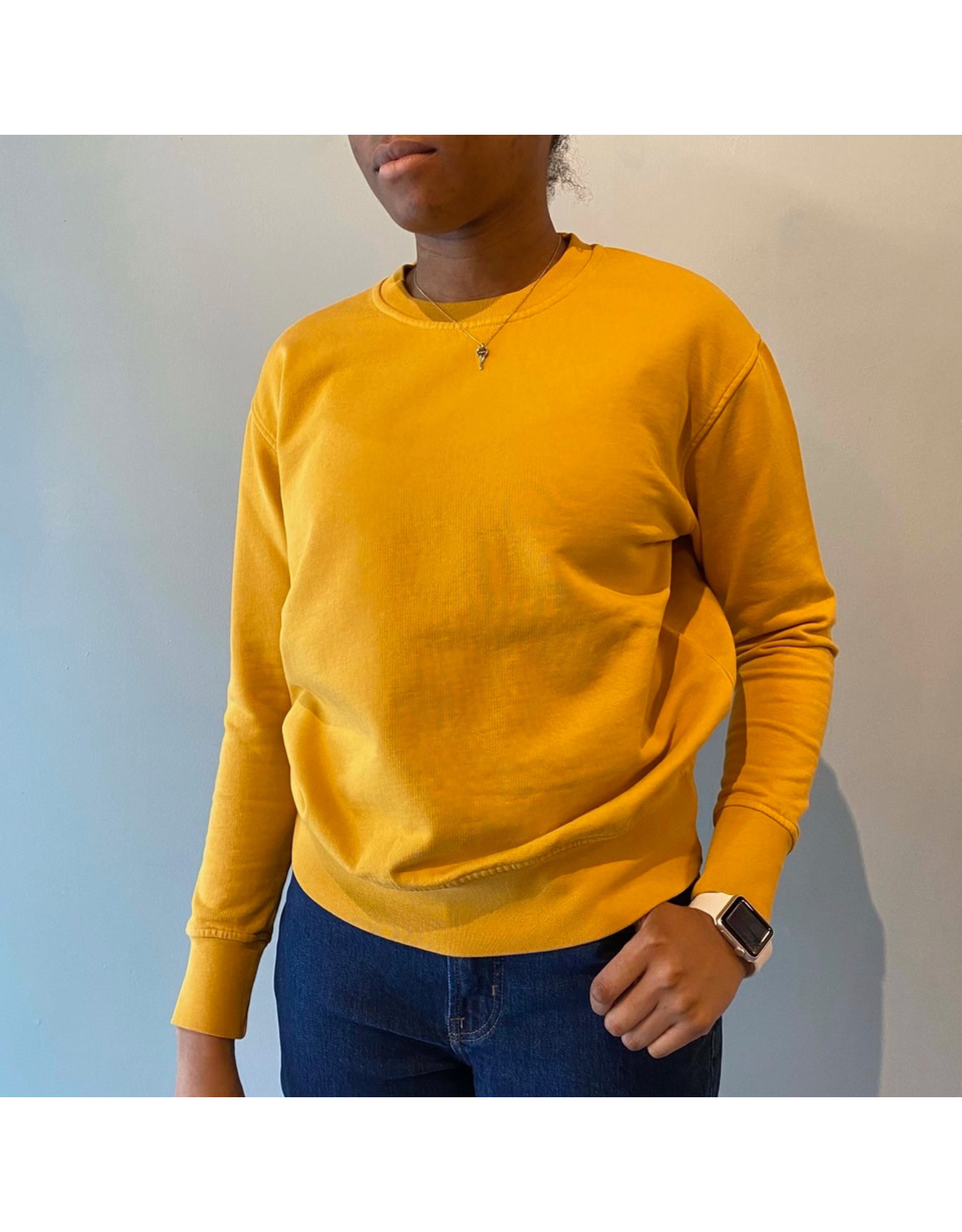 BGS Colorful Standard - Pretty Classic Cotton Sweatshirt Crew (6 Colours)