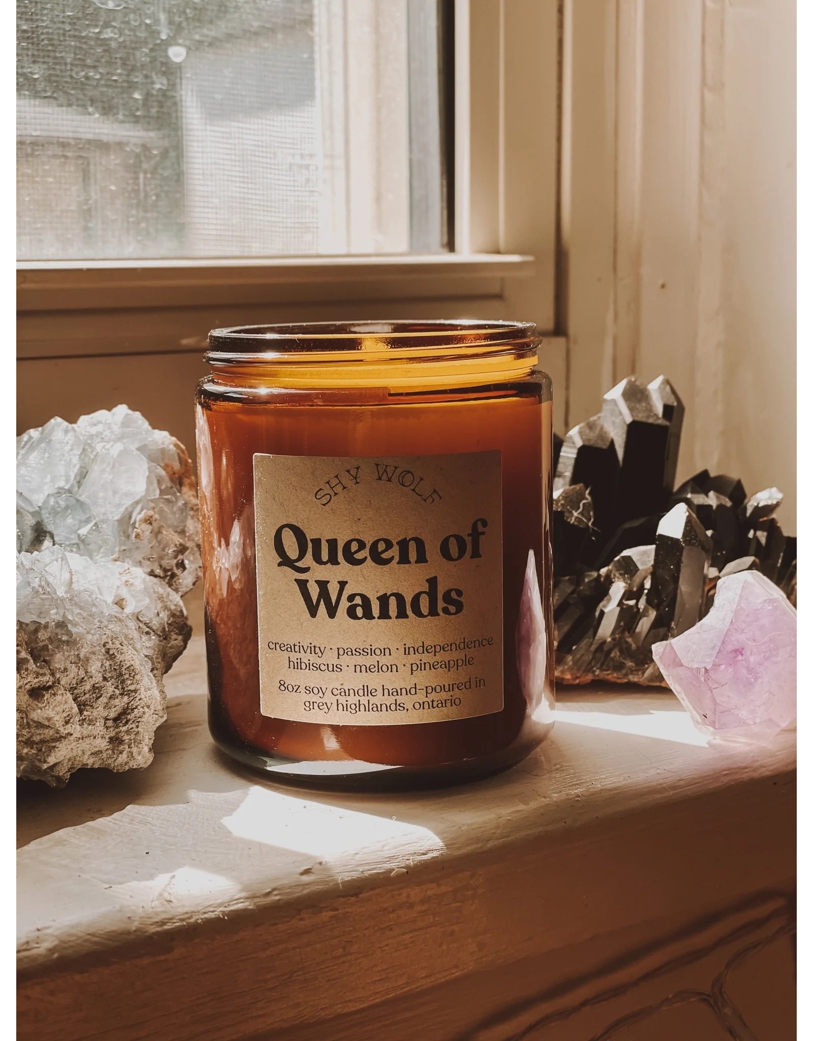 BGS Shy Wolf - Candle / Queen of  Wands Tarot  (8 oz)