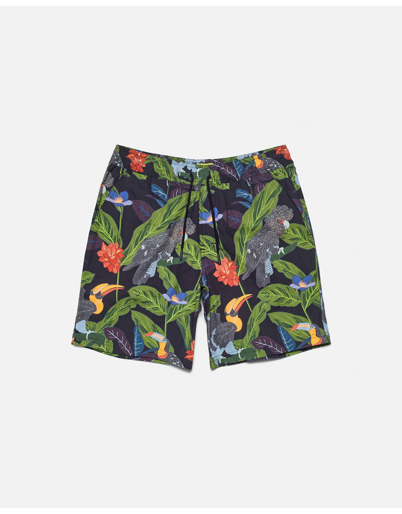 BGS PCO - Tropical Shorts / Bird