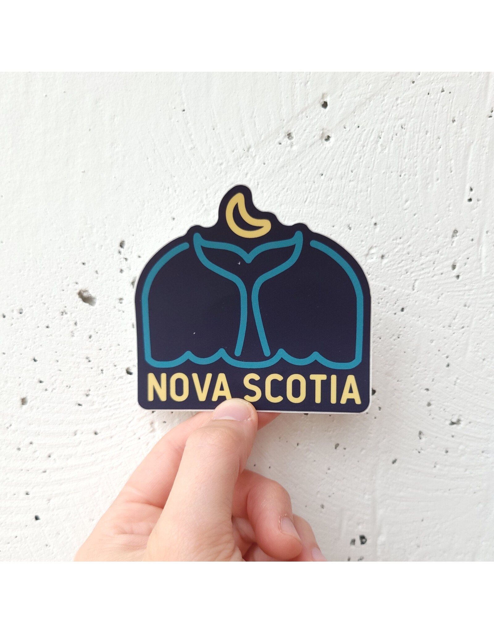 SST - Whale Tail / Nova Scotia