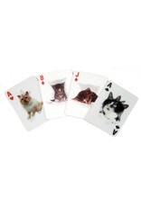 KND - Cats 3D Playing Cards