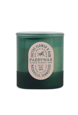 PAX - Soy Candle / Cactus Flower & Aloe, Green Glass, 12oz