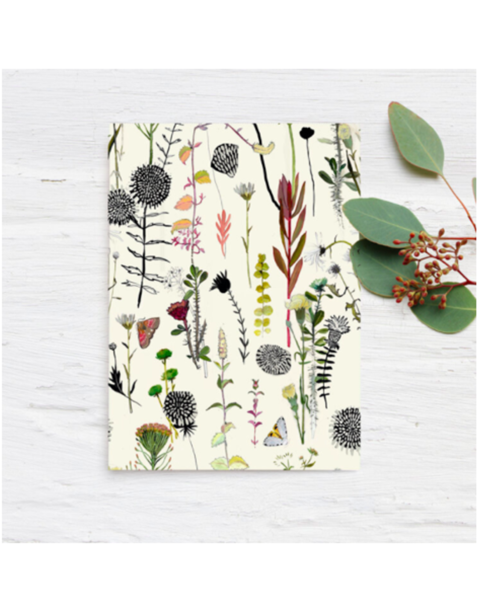 TIMCo Briana Corr Scott - Card / Botanical, 4 x 6"