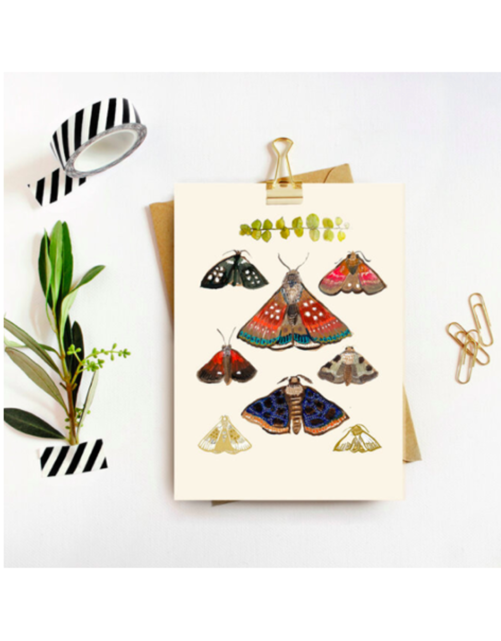 TIMCo Briana Corr Scott - Card / Moths, Cream, 4 x 6"