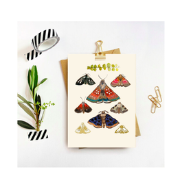 Briana Corr Scott - Card / Moths, Cream, 4 x 6"