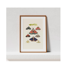 TIMCo Briana Corr Scott - Print / Moths, Cream, 11 x 14"