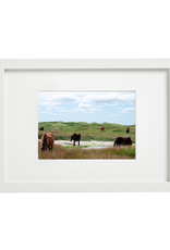 Aleyah Solomon - Photo Print / Family Gathering Sable Horses, 8 x 10"